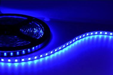 Waterproof SMD2835 Flexible LED Strip Lights For Theme Park Decoration
